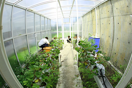 ecology_reading_summer_camp_fi_1