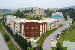 İŞLETMENİN ÇALIŞMA ALANI