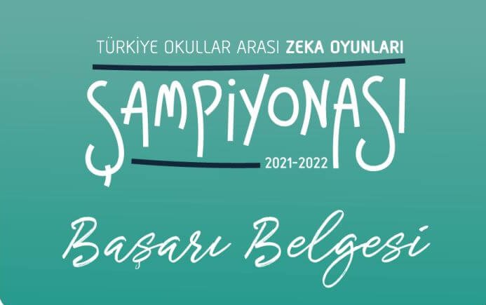 Türkiye Zeka Vakfı Türkiye Finalleri Sonuçlandı